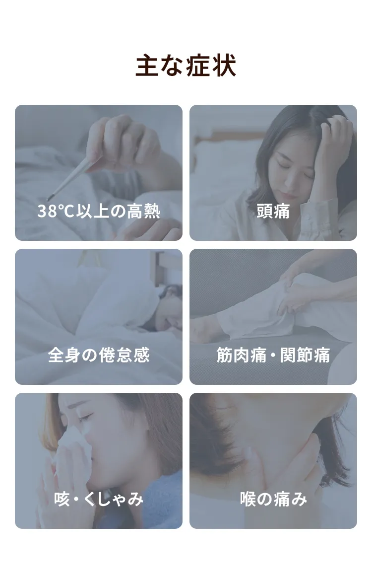 主な症状
