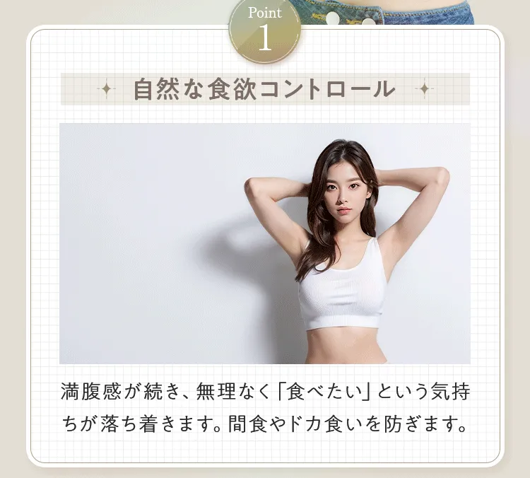 画像の説明文を入れてください