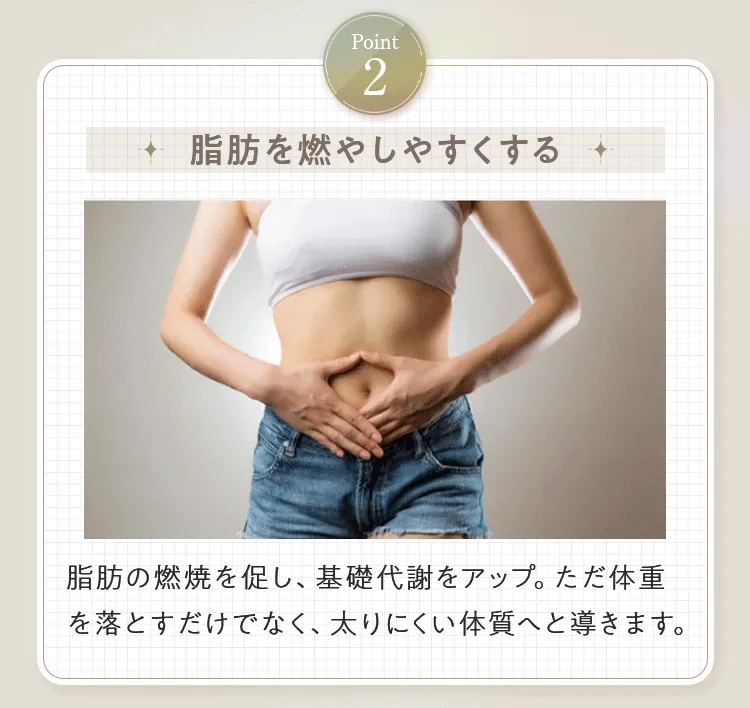 画像の説明文を入れてください