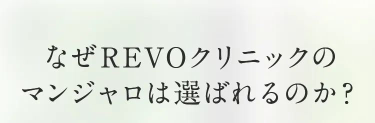 画像の説明文を入れてください