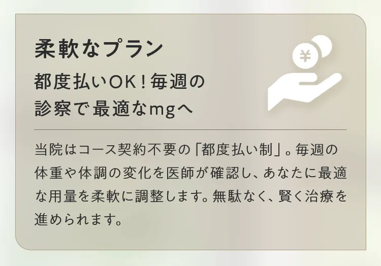 画像の説明文を入れてください