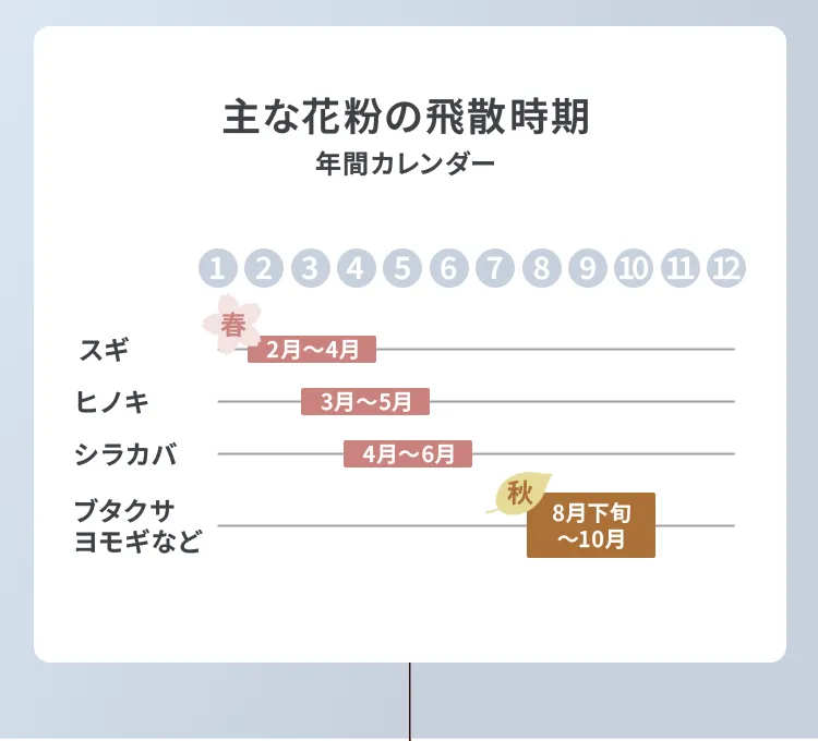 主な花粉の飛散時期カレンダー。スギ（2-4月）、ヒノキ（3-5月）、シラカバ（4-6月）、ブタクサ・ヨモギ等（8月下旬-10月）。