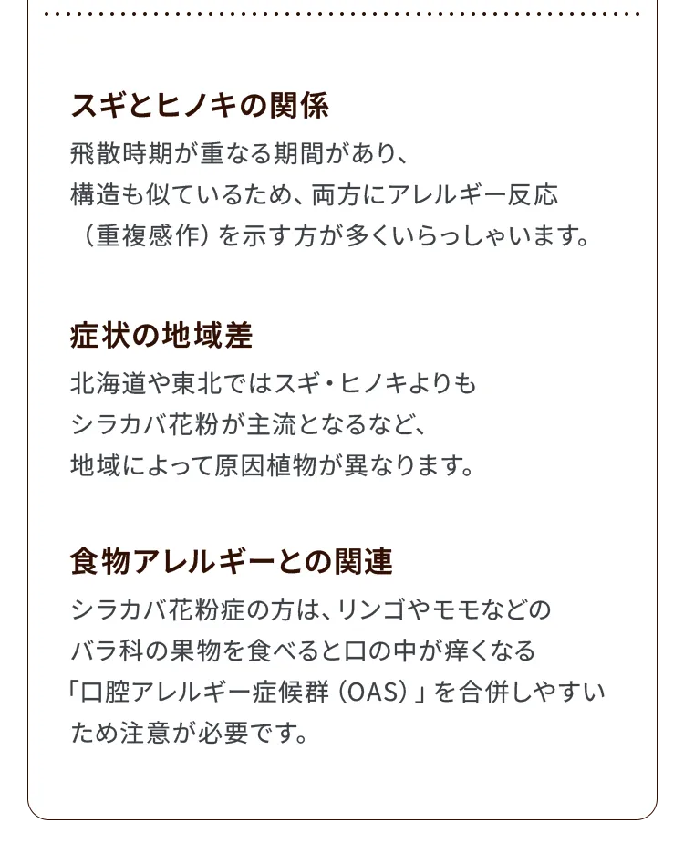 スギとヒノキの関係、症状の地域差、シラカバ花粉と口腔アレルギー症候群（OAS）の関連についての補足説明。